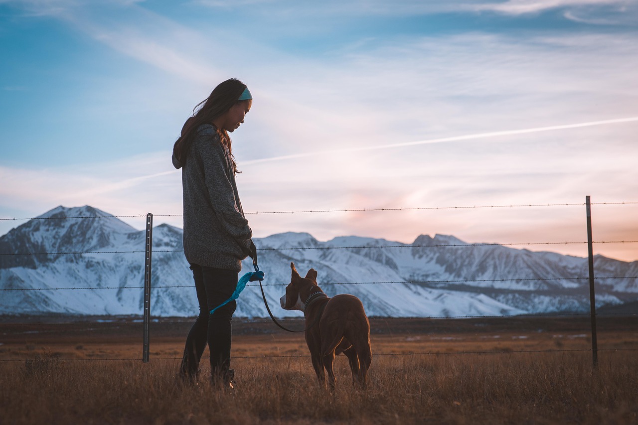 Traveler in the mountains